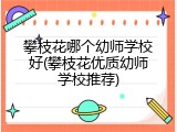 攀枝花哪个幼师学校好(攀枝花优质幼师学校推荐)