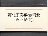 河北职高学校(河北职业高中)