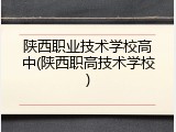陕西职业技术学校高中(陕西职高技术学校)