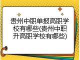 贵州中职单报高职学校有哪些(贵州中职升高职学校有哪些)