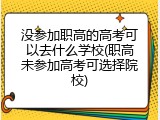 没参加职高的高考可以去什么学校(职高未参加高考可选择院校)