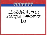武汉公办幼师中专(武汉幼师中专公办学校)