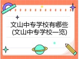 文山中专学校有哪些(文山中专学校一览)