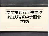 安庆市独秀中专学校(安庆独秀中等职业学校)