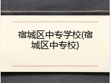宿城区中专学校(宿城区中专校)
