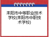 耒阳市中等职业技术学校(耒阳市中职技术学校)