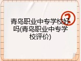 青岛职业中专学校好吗(青岛职业中专学校评价)