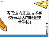 青岛达内职业技术学校(青岛达内职业技术学校)
