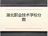 湖北职业技术学校分数