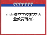 中职航空学校(航空职业教育院校)