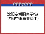 沈阳空乘职高学校(沈阳空乘职业高中)