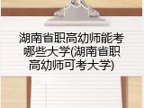湖南省职高幼师能考哪些大学(湖南省职高幼师可考大学)
