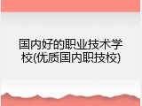 国内好的职业技术学校(优质国内职技校)