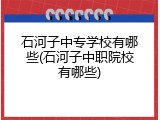 石河子中专学校有哪些(石河子中职院校有哪些)