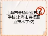 上海市曹杨职业技术学校(上海市曹杨职业技术学校)