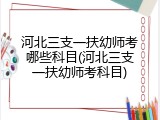 河北三支一扶幼师考哪些科目(河北三支一扶幼师考科目)