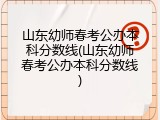 山东幼师春考公办本科分数线(山东幼师春考公办本科分数线)