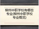 柳州中职学校有哪些专业(柳州中职学校专业概览)