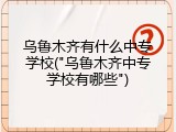 乌鲁木齐有什么中专学校("乌鲁木齐中专学校有哪些")
