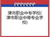 津市职业中专学校(津市职业中等专业学校)