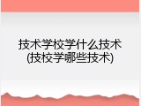 技术学校学什么技术(技校学哪些技术)