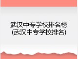 武汉中专学校排名榜(武汉中专学校排名)