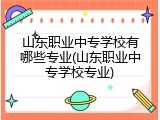 山东职业中专学校有哪些专业(山东职业中专学校专业)