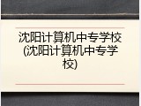 沈阳计算机中专学校(沈阳计算机中专学校)