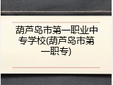 葫芦岛市第一职业中专学校(葫芦岛市第一职专)