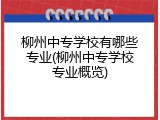 柳州中专学校有哪些专业(柳州中专学校专业概览)