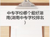 中专学校哪个最好湖南(湖南中专学校排名)