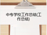 中专学校工作总结(工作总结)