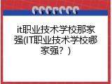 it职业技术学校那家强(IT职业技术学校哪家强？)