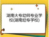 湖南大专幼师专业学校(湖南幼专学校)