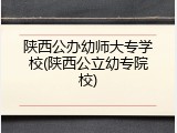 陕西公办幼师大专学校(陕西公立幼专院校)