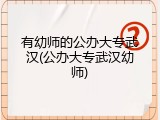 有幼师的公办大专武汉(公办大专武汉幼师)