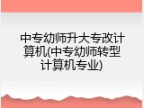 中专幼师升大专改计算机(中专幼师转型计算机专业)