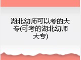 湖北幼师可以考的大专(可考的湖北幼师大专)
