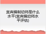 宜宾编制幼师是什么水平(宜宾编幼师水平评估)