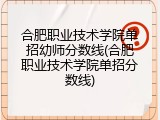 合肥职业技术学院单招幼师分数线(合肥职业技术学院单招分数线)