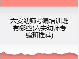 六安幼师考编培训班有哪些(六安幼师考编班推荐)