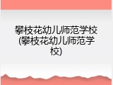 攀枝花幼儿师范学校(攀枝花幼儿师范学校)