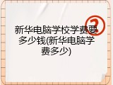 新华电脑学校学费要多少钱(新华电脑学费多少)