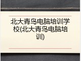 北大青鸟电脑培训学校(北大青鸟电脑培训)
