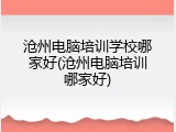 沧州电脑培训学校哪家好(沧州电脑培训哪家好)