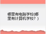 哪里有电脑学校(哪里有计算机学校？)