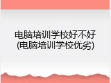 电脑培训学校好不好(电脑培训学校优劣)