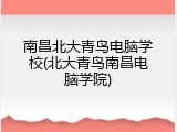 南昌北大青鸟电脑学校(北大青鸟南昌电脑学院)