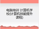 电脑培训 计算机学校(计算机技能提升课程)