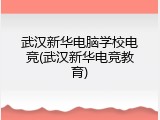 武汉新华电脑学校电竞(武汉新华电竞教育)